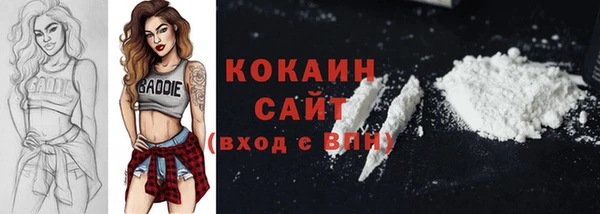 шишки Армянск