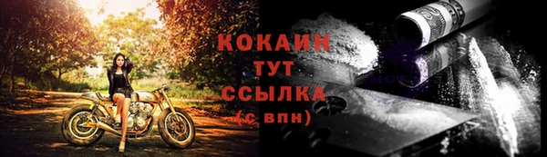 спиды Арсеньев