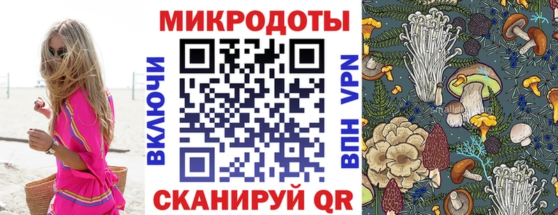 omg ссылки  Мезень  Галлюциногенные грибы Psilocybe 